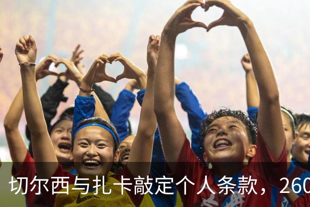 切尔西与扎卡敲定个人条款，2600万镑报价等待桑德兰放行